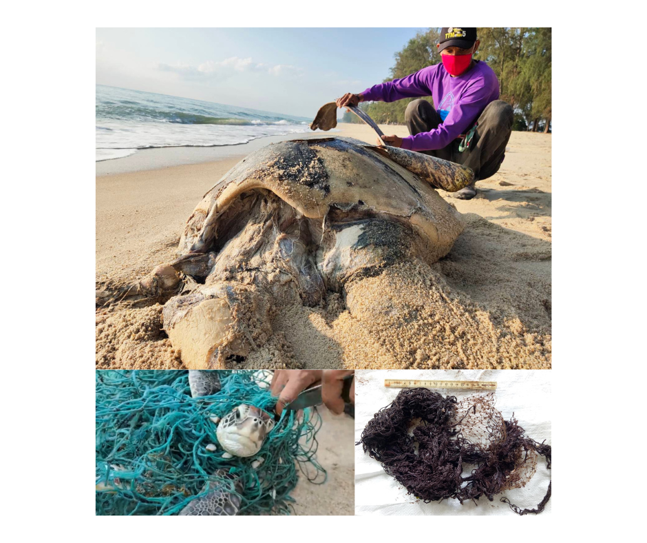 Dr. Jindarha Prampramote