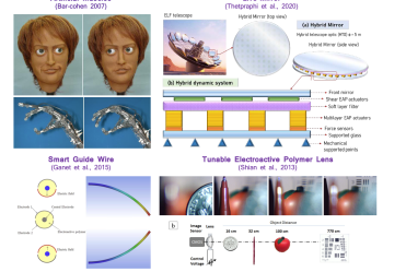 materials science for printable smart materials and devices (3D and 4D printing technology)