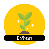 icon BIO info in Thai