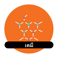 icon CHEM info in Thai